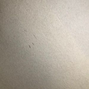 Meet your Posher, Briana